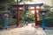 Torii gate in Japan