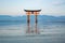 The Torii gate landmark of Japan in Miyajima Island