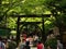 Torii gate of Nonomiya Shrine, Arashiyama Kyoto Japan.