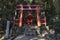 Torii gate and shinto shrine in the the Kasugayama Primeval Forest, registered as a UNESCO World Heritage Site as part of the Hi