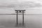 The torii gate of Shirahige Shrine in Lake Biwa