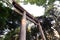 Torii Gate standing at the entrance to Meiji Jingu Shrine, Tokyo