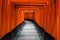 Torii Gate tunnel at Fushimi Inari shrine