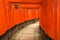 Torii gates of Fushimi Inari Shrine in Kyoto, Japan