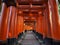 Torii gates of Fushimi Inari shrine, Kyoto, Japan