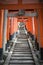 Torii gates at the Fushimi Inari-taisha