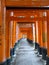 Torii gates at Fushimi Inari Taisha shrine in Kyoto, Japan