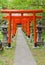 Torii gates of Hachiman Shinto Shrine, Akita, Japan