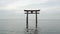 The Torii in the Lake Biwa, Shirahige Shrine