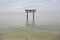 The Torii in the Lake Biwa, Shirahige Shrine