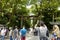 Torii leading to the Meiji Shrine complex, located in Shibuya, Tokyo