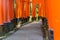 Torii leading to the outer shrine. Fushimi Inari Taisha is the head shrine of Inari,  in Kyoto, Japan