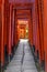 torii at Otome Inari Shrine