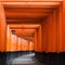 Torii path at Fushimi Inari Taisha Shrine in Kyoto, Japan