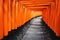 Torii path at Fushimi Inari Taisha Shrine in Kyoto, Japan