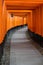 Torii path lined with thousands of torii in the Fushimi Inari Taisha Shrine