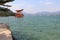 torii in a shinto shrine (itsukushima) in miyajima (japan)