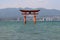 torii in a shinto shrine (itsukushima) in miyajima (japan)