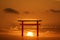 torii sunset orange cloud on sky and birds flying on sea