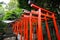 Torii tunnel