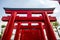 Torii tunnel in Hinoki land