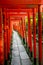 Torii tunnel in Tokyo