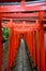 Torii tunnel in Tokyo