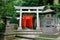 Torii tunnel in Tokyo