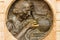 TORINO,ITALY-OCTOBER,2018:Bronze medallion in high relief depicting Cristoforo Colombo created by the famous artist Dino Soma