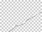 Torn bottom right part of sheet of transparent paper. Vector template paper design
