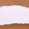 Torn brown paper center strip white background ragged edge