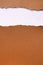 Torn brown paper strip header background vertical white copy space