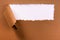 Torn brown paper strip header white background frame