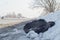 Torn car tire from a truck lies in the snow