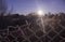 Torn fence of metal mesh covered with frost. The sun shines early in the morning on the frozen grid.