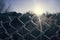 Torn fence of metal mesh covered with frost. The sun shines early in the morning on the frozen grid.