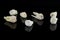 Torn human teeth on a black background. Close-up photo of spoiled molars and premolars. Selective focus.