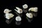 Torn human teeth on a black background. Close-up photo of spoiled molars and premolars. Selective focus.