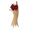 The torn off hand holds a scarlet heart. Long fingers with sharp nails squeeze the torn out heart. Witchs palm. Vector.