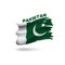 Torn Pakistan patriotic flag 3d vector illustration