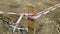 torn red and white warning tape tied to a wooden support flies in the wind.