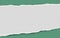 Torn squared white horizontal paper strip is on green background with space for text. Vector illustration