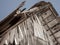 Torn, weathered roof of old building