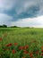 Tornado atmospheric whirlwind in a cumulonimbus thundercloud