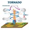 Tornado vector illustration. Labeled educational wind vortex explanation.