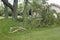 Tornado Wind Storm Damage Man Chainsaw Downed Tree