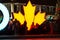 TORONTO, CANADA - 2018-01-01: Torontonians in front of glowing maple leaf, the main Canadian symbol, having rest after