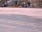 Toronto High Park frozen pond February 2017