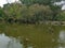 Toronto high park pond view