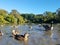 Toronto high park pond view with birds